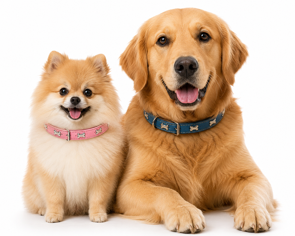 Coleira Colar de Couro com Design de Ossinho para Cães e Gatos
