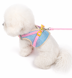 Peitoral Com Guia e Colete Reflexivo Respirável Animais De Estimação