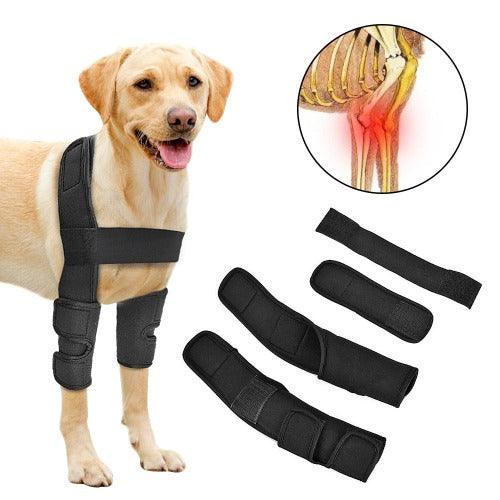 Cotoveleira Bilateral Ortopédica Patas Dianteiras para Cães