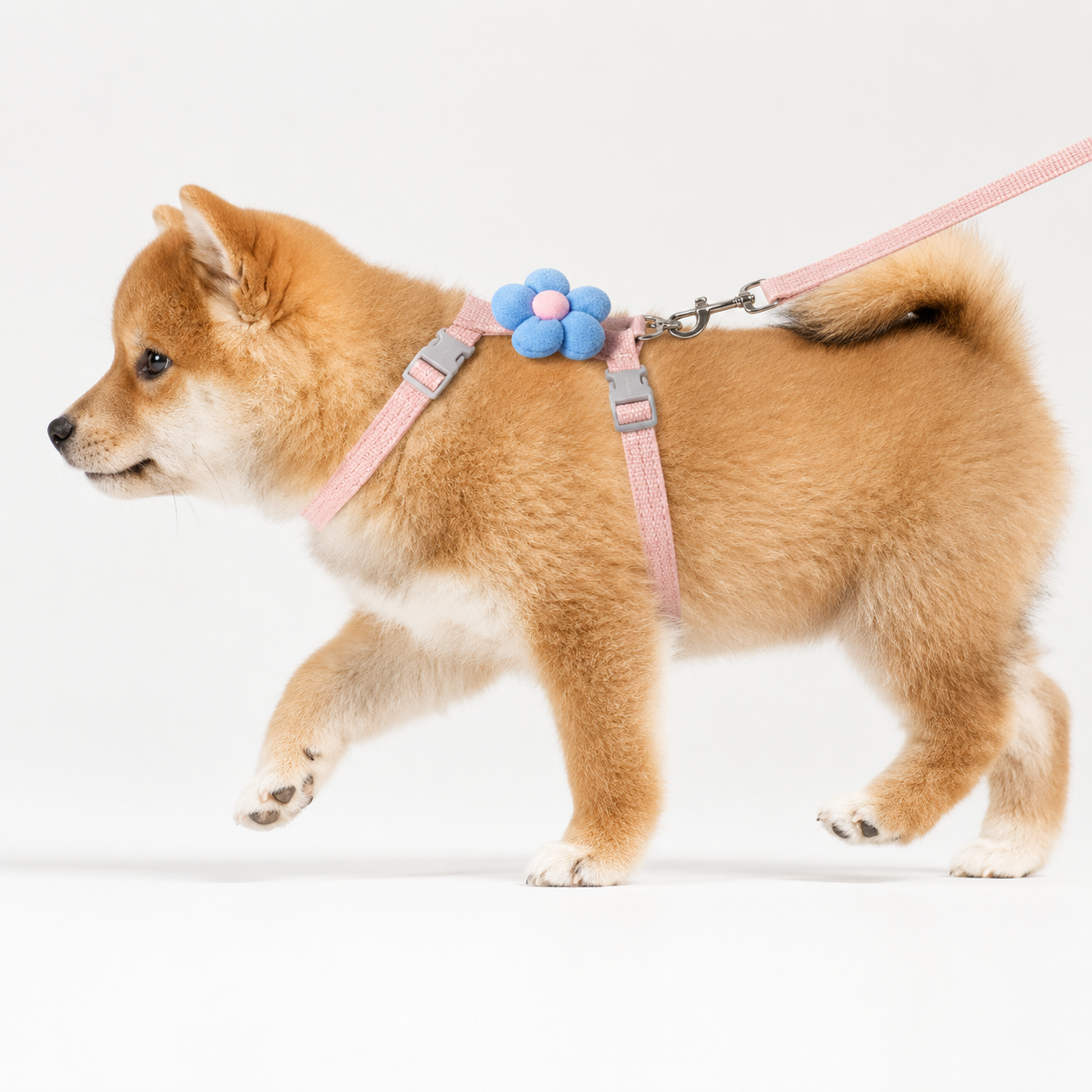 Peitoral Ajustável com Guia Floral para Cães e Gatos Pequenos