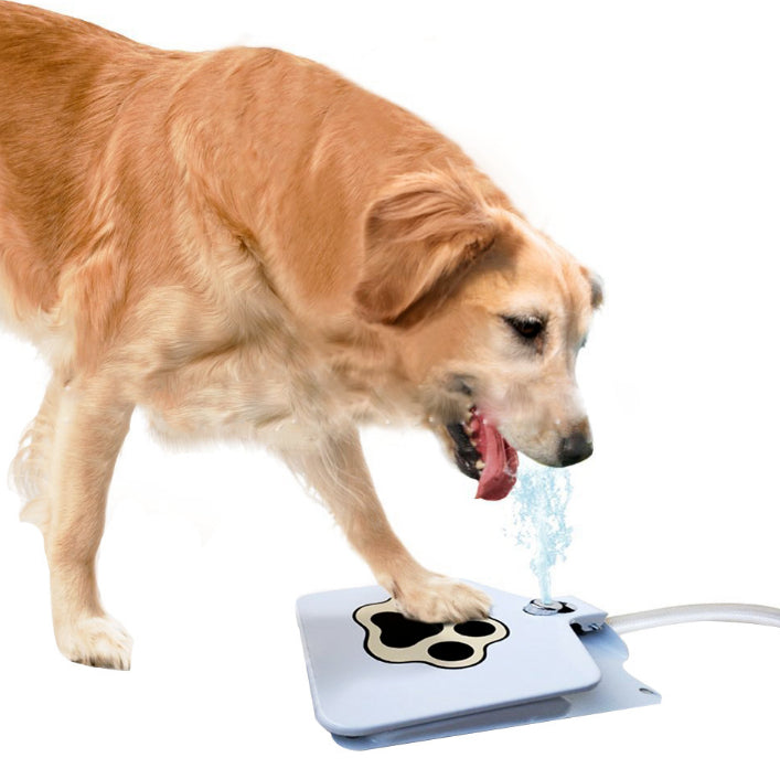 Bebedouro Brinquedo Interativo para Cães de Metal – Água Fresca ao Acionar a Pata