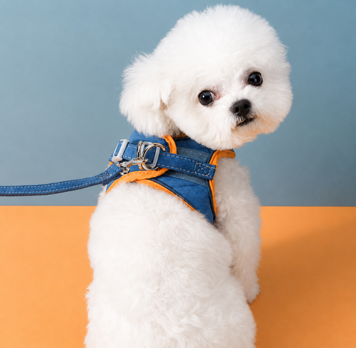 Peitoral Para Cães E Gatos Pequenos Com Guia Anti-Escape