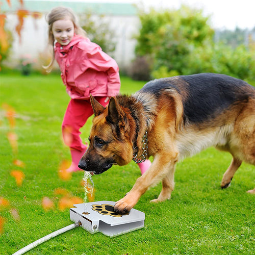 Bebedouro Brinquedo Interativo para Cães de Metal – Água Fresca ao Acionar a Pata