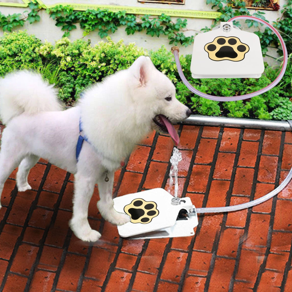 Bebedouro Brinquedo Interativo para Cães de Metal – Água Fresca ao Acionar a Pata