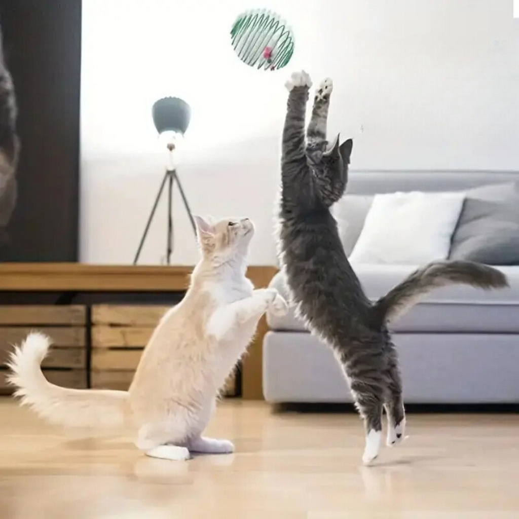 Brinquedo Mola Elástica para Gatos - StretchBall™