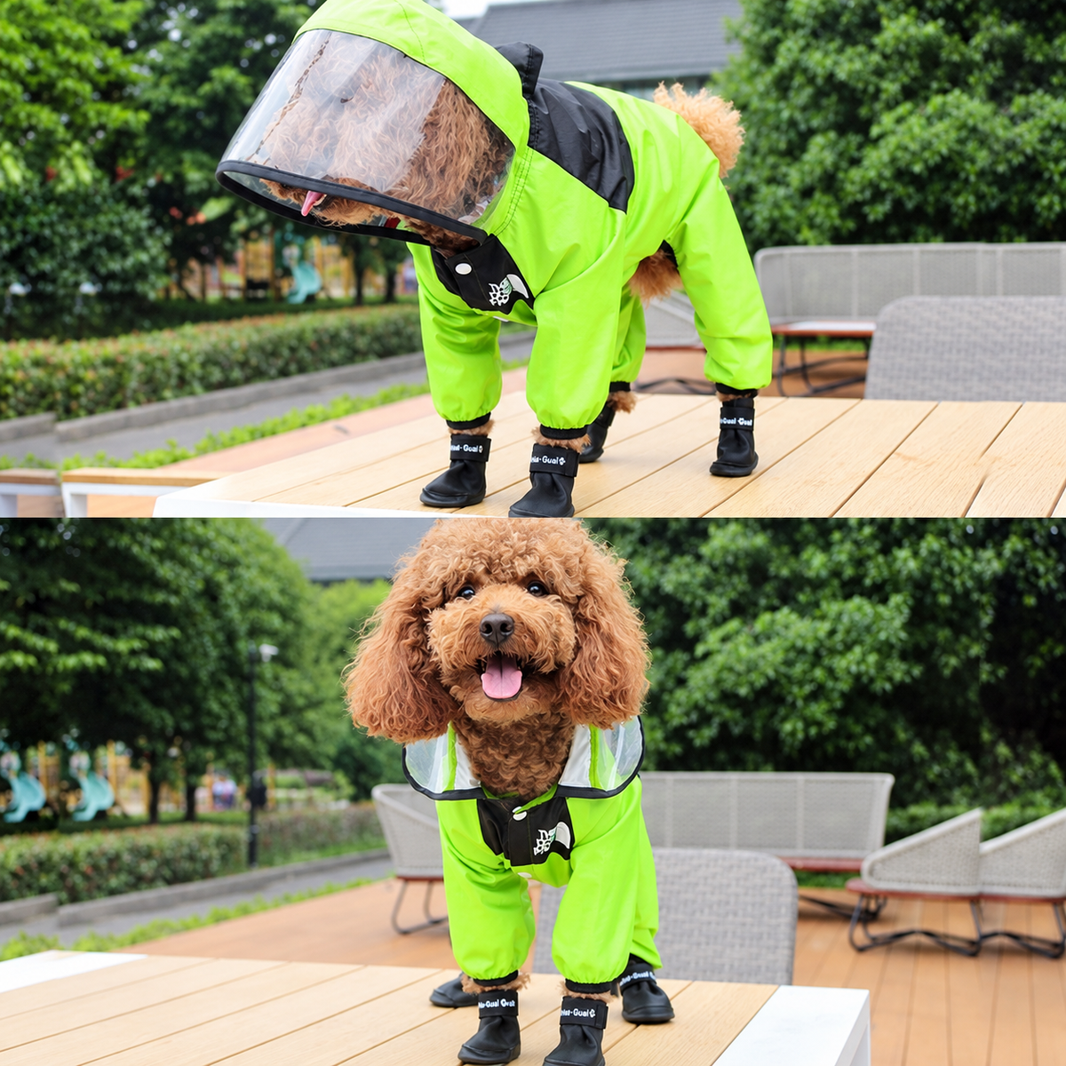 Capa de Chuva Impermeável para Cachorros - TheDogFace
