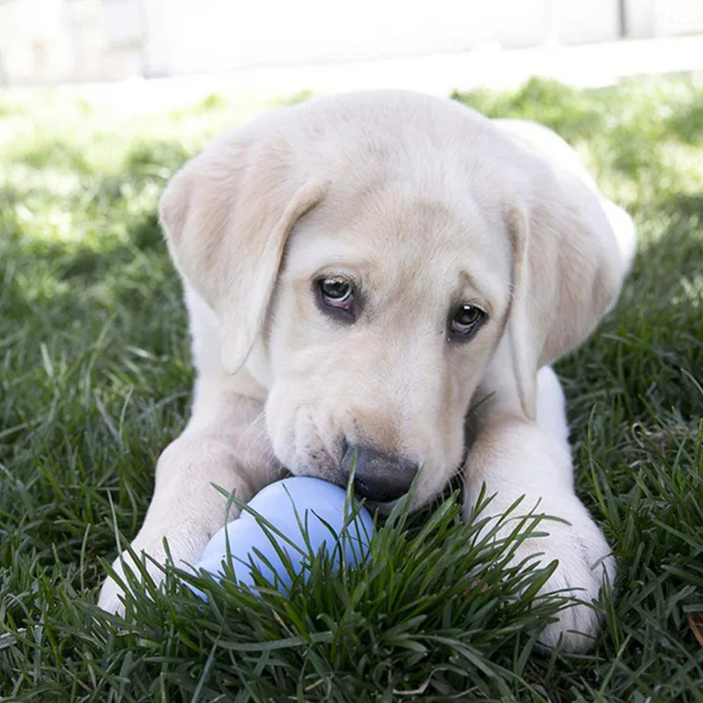 Brinquedo Kong Classic Interativo para Cachorros