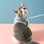 Peitoral Para Cães E Gatos Pequenos Com Guia Anti-Escape