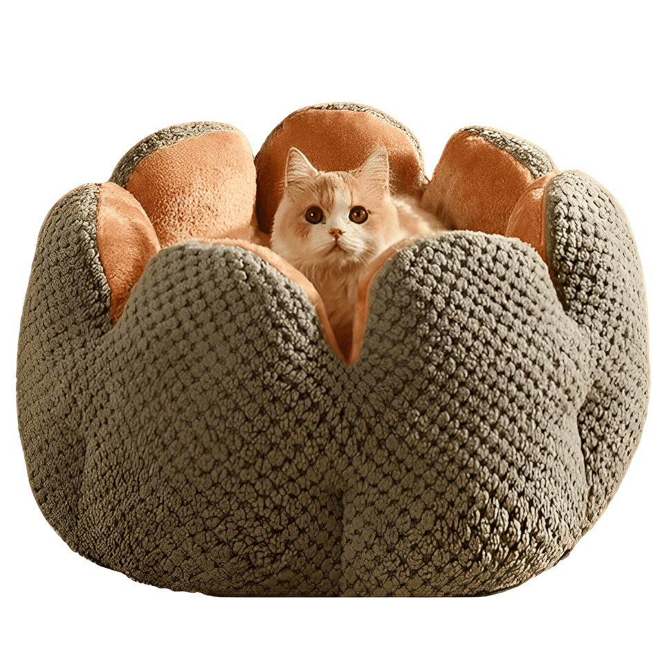 Cama Puff Pet Florzinha™  - Ultra Macia Para Gatos