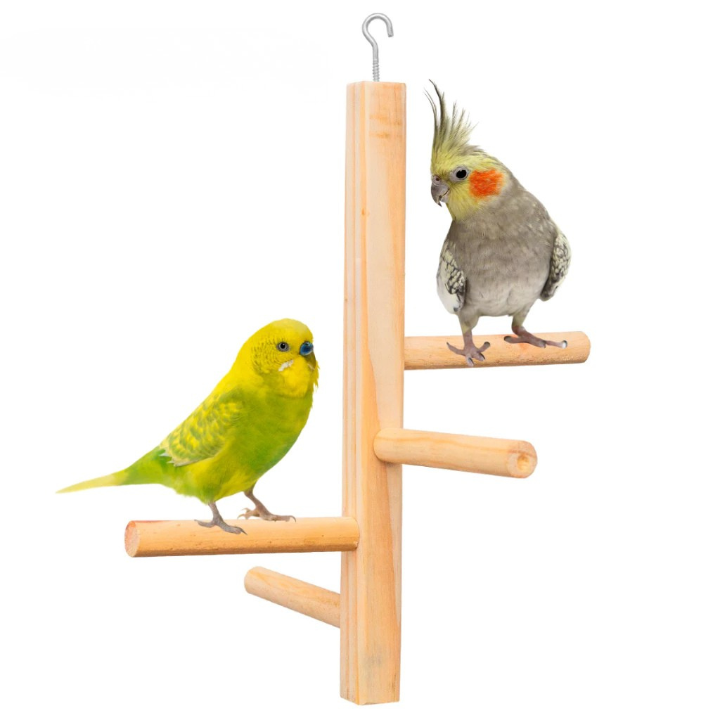 Kit de Brinquedos para Pássaros – Escadas, Balanços, Poleiros e Plataformas