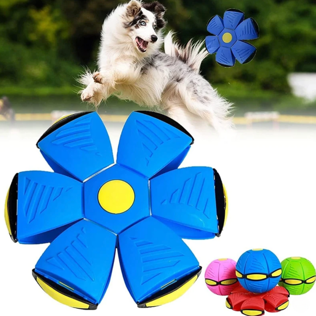 Bola Mágica Interativa com Luzes para Pets – Diversão Sem Fim