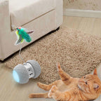 CATS MEOW ® – Rodinha Interativa para Gatos