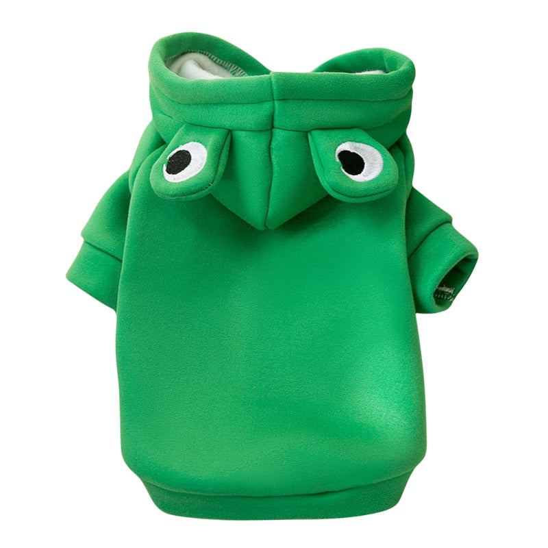 Moletom Amazing Frog - CatStyle™ Para Gatos