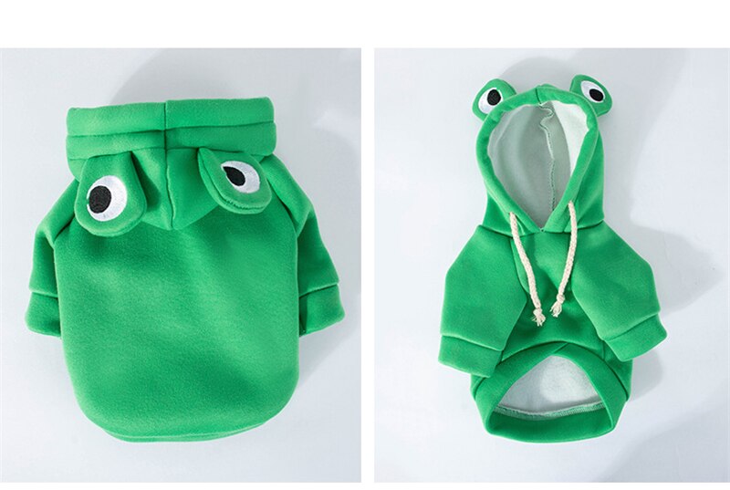 Moletom Amazing Frog - CatStyle™ Para Gatos