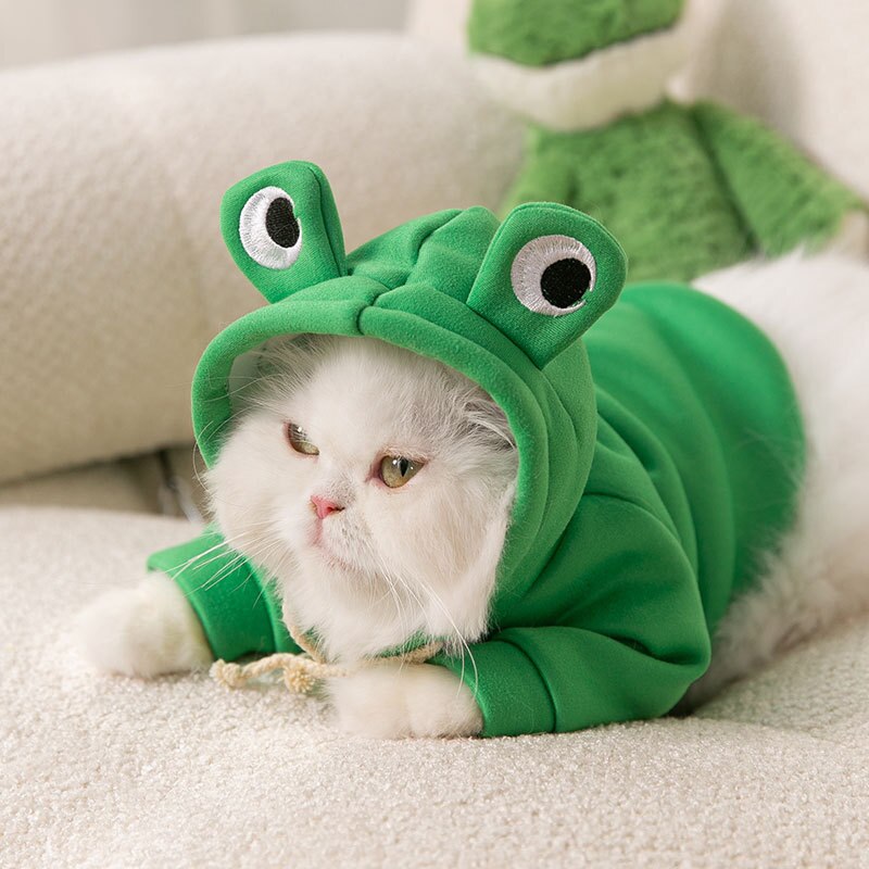 Moletom Amazing Frog - CatStyle™ Para Gatos