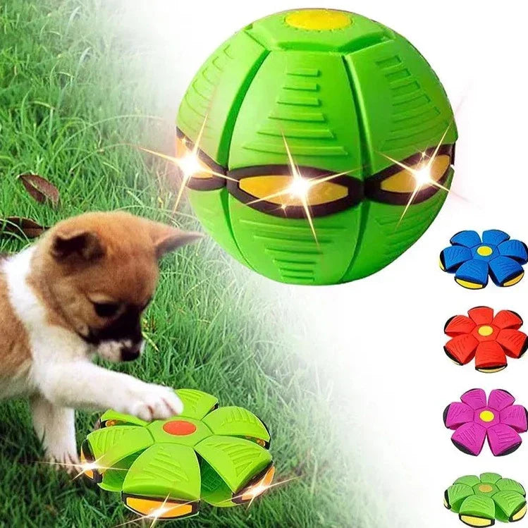 Bola Mágica Interativa com Luzes para Pets – Diversão Sem Fim