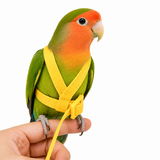 Amarelo