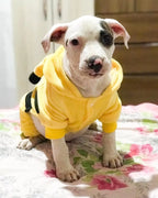 Macacão Pet Quentinho para Cachorros Pequenos e Médios - FofiPet™
