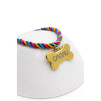 Coleira Personalizada com Plaquinha de Identificação para Cães e Gatos