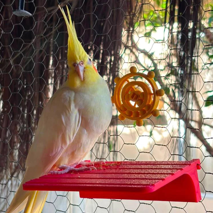 Brinquedo Disco Interativo Giratório para Aves Calopsitas Periquitos Agapornis