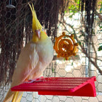 Brinquedo Disco Interativo Giratório para Aves Calopsitas Periquitos Agapornis