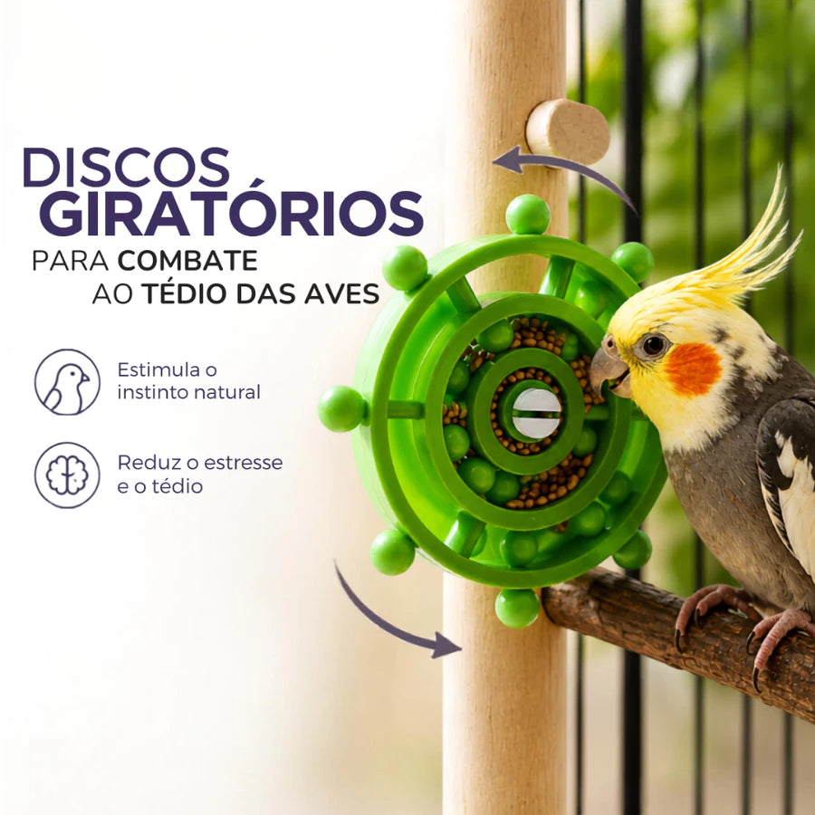 Brinquedo Disco Interativo Giratório para Aves Calopsitas Periquitos Agapornis
