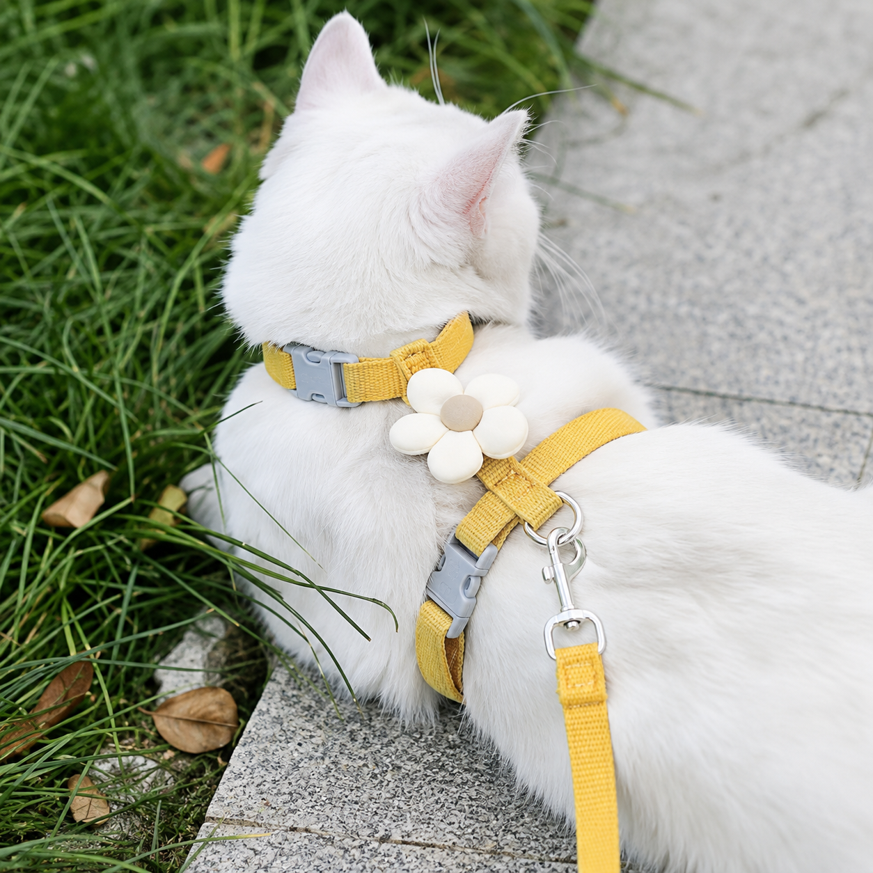Peitoral Ajustável com Guia Floral para Cães e Gatos Pequenos