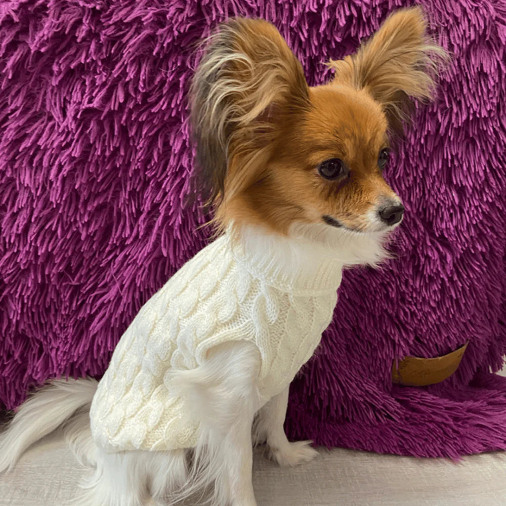 Suéter de Lã Premium - WinterPaws™ para Cães