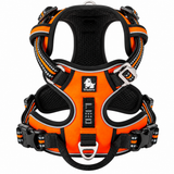 Laranja e Preto