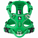 Verde grama